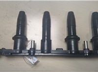 1208021, 1104082, 10458316 Катушка зажигания Opel Astra H 2004-2010 9134302 #1