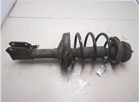 8200662265 Амортизатор подвески Renault Clio 1998-2008 9137447 #3