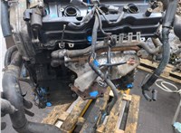 101029W2AD, 10102CB6A0 Двигатель (ДВС) Nissan Murano 2002-2008 9141968 #20