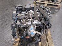 03L100034F Двигатель (ДВС) Volkswagen Passat 6 2005-2010 9152266 #14