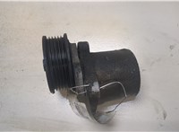  Натяжитель приводного ремня Ford Mondeo 3 2000-2007 9154113 #3