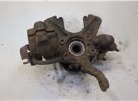 1K0407255P, 1T0498621 Ступица (кулак, цапфа) Volkswagen Jetta 5 2004-2010 9157237 #3