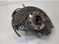 3C0407253F, 1K0407621F Ступица (кулак, цапфа) Volkswagen Passat 6 2005-2010 9157312 #1