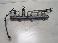  Рампа (рейка) топливная Hyundai H-1 Starex 2007-2015 9158943 #1