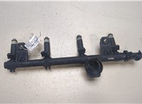  Форсунка топливная Renault Kangoo 1998-2008 9160504 #1