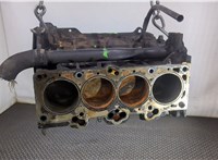  Блок цилиндров (Шорт блок) Hyundai Tucson 1 2004-2009 9160744 #4