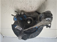 5Q0407254C, 5Q0407621D Ступица (кулак, цапфа) Volkswagen Arteon 2017-2020 9163575 #3