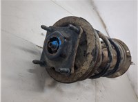 4412297, 1L8418K001HBA Амортизатор подвески Ford Maverick 2000-2007 9169060 #5