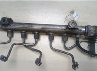  Рампа (рейка) топливная Hyundai Tucson 1 2004-2009 9173354 #1