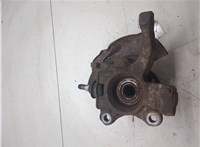 7D0407343B, 7D0501647A, 7D0407257A Ступица (кулак, цапфа) Volkswagen Transporter 4 1991-2003 9176684 #7