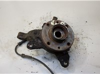  Ступица (кулак, цапфа) Renault Scenic 1996-2002 9176841 #1