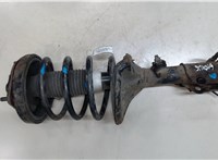  Амортизатор подвески Hyundai Coupe (Tiburon) 2002-2009 9178574 #5