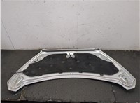 2171339, JK21A16612AA Капот Ford Transit (Tourneo) Custom 2012-2025 9182531 #11