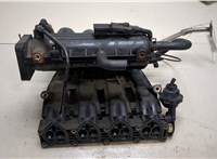 25185955, 25189192, 96416312 Коллектор впускной Chevrolet Aveo (T250 / 255) 2008-2011 9186419 #1