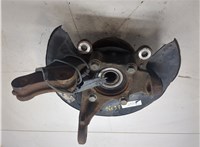 44300STXA01, 51215STXA02 Ступица (кулак, цапфа) Acura ZDX 2009-2013 9192035 #4