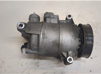  Компрессор кондиционера Skoda Octavia (A5) 2008-2013 9194187 #1