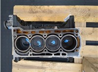 03C103011AS Блок цилиндров (Шорт блок) Audi A1 (8X) 2010-2018 9203052 #4