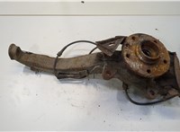  Ступица (кулак, цапфа) Volkswagen Touareg 2002-2007 9203921 #1