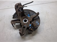 1K0407256T, 1K0498621 Ступица (кулак, цапфа) Skoda Yeti 2009-2018 9205968 #4