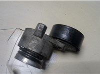 117501113R Натяжитель приводного ремня Renault Megane 3 2009-2016 9207856 #1