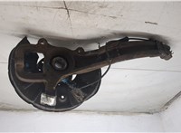 7H0498611, 7L6407258A Ступица (кулак, цапфа) Volkswagen Touareg 2002-2007 9211591 #2