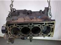  Блок цилиндров (Шорт блок) Renault Megane 2 2002-2009 9212193 #1