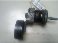  Натяжитель приводного ремня Volkswagen Polo 2001-2005 9212295 #1