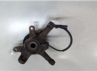  Ступица (кулак, цапфа) Renault Scenic 1996-2002 9215862 #5