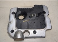  Накладка декоративная на ДВС Hyundai Santa Fe 2005-2012 9227874 #1