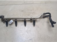  Форсунка топливная Volkswagen Golf 4 1997-2005 9227977 #1