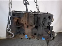  Блок цилиндров (Шорт блок) Renault Megane 2 2002-2009 9232782 #1