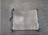 1300309, 13283249 Радиатор охлаждения двигателя Opel Meriva 2010- 9235760 #8