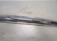 74890S6AJ00 Накладка под номер (бленда) Honda Civic 2001-2005 9237914 #5