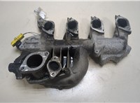  Коллектор впускной Renault Scenic 2003-2009 9239628 #1