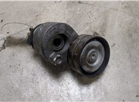  Натяжитель приводного ремня Renault Scenic 2003-2009 9239901 #1