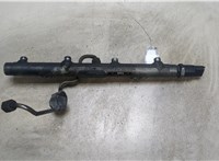  Рампа (рейка) топливная Land Rover Freelander 1 1998-2007 9241726 #1