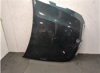 41617486754, 7486754 Капот BMW X5 E70 2007-2013 9241978 #10