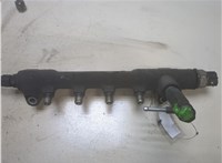  Рампа (рейка) топливная Opel Astra H 2004-2010 9242002 #1