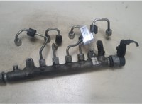  Рампа (рейка) топливная Volkswagen Passat 6 2005-2010 9246842 #1