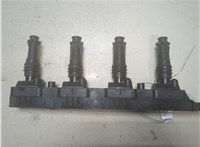 1208020, 24420584, 93177212 Катушка зажигания Opel Meriva 2003-2010 9248939 #1