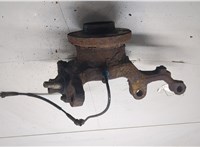 31216761576, 6761576, 31206756256, 6756256 Ступица (кулак, цапфа) BMW X5 E53 2000-2006 9249536 #5