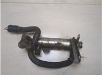  Охладитель отработанных газов Opel Astra H 2004-2010 9251976 #1