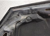 4819345, 4820855 Капот Opel Antara 9255072 #7