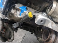 1763651, 1819098, AV2Q6006CA Двигатель (ДВС) Ford Fiesta 2008-2013 9255142 #10