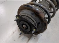  Амортизатор подвески Ford Focus 1 1998-2004 9257026 #2