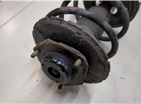  Амортизатор подвески Nissan Murano 2002-2008 9260532 #2