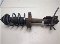 51602SMGE16, 51606SMGE04, 51401SMGE15 Амортизатор подвески Honda Civic 2006-2012 9265195 #6
