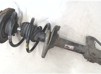  Амортизатор подвески Nissan X-Trail (T30) 2001-2006 9266726 #6