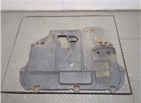  Защита моторного отсека (картера ДВС) Ford Focus 2 2008-2011 9267856 #1