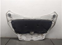  Капот Ford Focus 3 2011-2015 9269282 #3